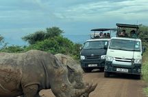5 Hour Early Morning Nairobi National Park Safari 6:00 AM Start