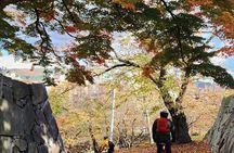 Morioka City Cycle with local guide: Temples, Treats & Townscapes