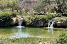 Salalah Mountain Safari, Wadi Darbat, Beach, Dunes , Camels