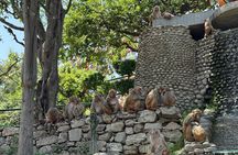 Kathmandu Full Day Tour