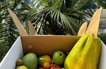 Cooking Class and Market Visit in Negombo