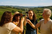 From Florence: Small-Group Tuscany Wine & Oil Tour with typical Tuscan Meal