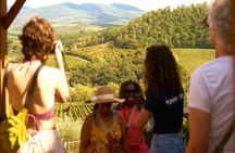 From Florence: Small-Group Tuscany Wine & Oil Tour with typical Tuscan Meal