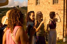 Florence: Great Chianti Wine and Olive Oil Trail with Lunch