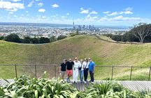 Auckland City Top Sights Half Day Tour - Small Group 