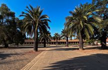 Half Day Santa Rita Vineyard Tour