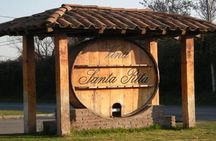 Half Day Santa Rita Vineyard Tour