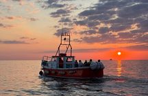 Sundown Cruise Around the Island of Ireland's Eye from Howth 