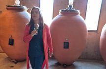 WINERIES DAY with Private Driver and Michelin Guide Lunch