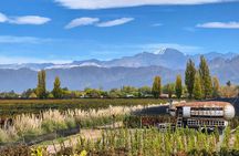 WINERIES DAY with Private Driver and Michelin Guide Lunch