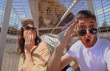 Safari Park