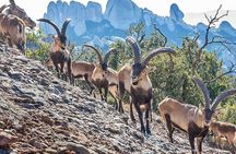 Montserrat Small Group: Monastery, Black Madonna & Natural Park 