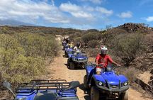 Ultimate Off Road Quad Safari Adventure in Tenerife