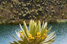 Chingaza National Park: Private Tour with Guide and Transport