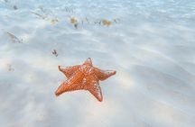 Cozumel Catamaran Snorkeling Tour & Lunch (show up PDC)