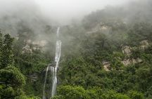 Private Tour to La Chorrera Waterfall