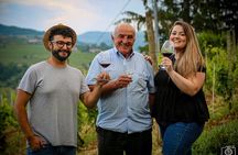 Wine tasting Langhe and Monferrato