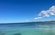 Epic Sea and Wildlife Paddleboarding Adventure 
