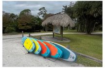 Epic Sea and Wildlife Paddleboarding Adventure 