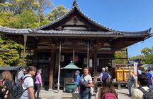 Kyoto Private Car Tour from Osaka to Gion and Fushimi