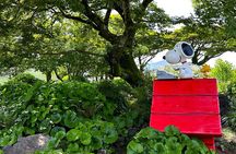 Jeju BTS & K-drama Small Group Day Tour including Snoopy Garden