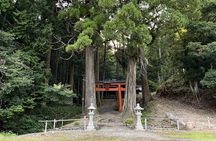 From Bamboo to Hidden Shrines: Kyoto’s Private Escape Tour by Car