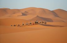 2 Day Private Sahara Adventure from Fez to Merzouga and Back