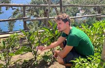 Hands-On Cooking Class & Farmhouse Tour on the Amalfi Coast