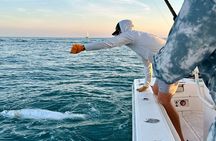 4 Hour Sunset Seasonal Tarpon Charter from Key West