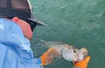4 Hour Sunset Seasonal Tarpon Charter from Key West