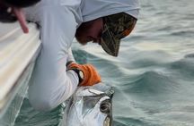 4 Hour Sunset Seasonal Tarpon Charter from Key West