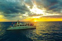 Oahu: Sunset Snorkel Cruise Dolphin Watch and Dine Hawaiian Style