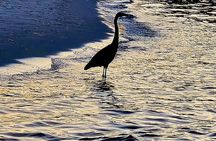Sunset Harbor and Bay Cruise in Destin