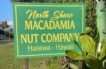 Oahu Private Tour North Shore, Waimea Falls and Dole Plantation