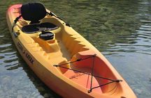Liberty Bay Wildlife Kayaking 