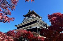 Half Day Kiyosu Castle and Samurai Armor Experience From Nagoya