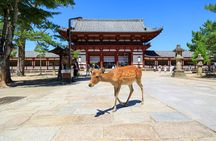 Nara: Enjoy Highlight Of Nara in 3 hours