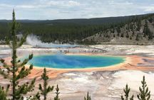 Yellowstone National Park Private Guided Tour - Full Day