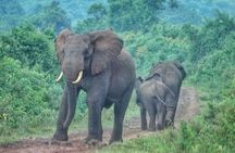 Explore Tsavo East and West in 3 Days Tour 