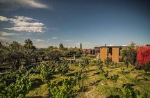Casa Vigil (the enemy) + Dinner + Guided tour