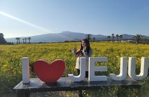 Private day Tour West and South area in Jeju Island 