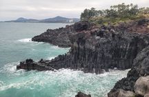 Private day Tour West and South area in Jeju Island 