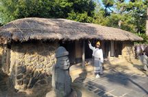 Private day Tour West and South area in Jeju Island 