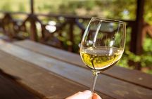 Award Winning Winelands and Cheetah Outreach Full-Day Tour