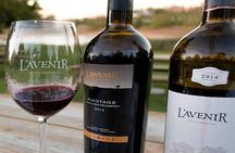 Award Winning Winelands and Cheetah Outreach Full-Day Tour