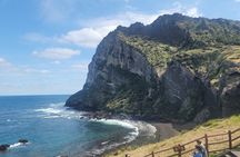 Private Day Tour West & South & East course All in Jeju Island