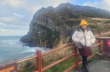 Private Day Tour West & South & East course All in Jeju Island