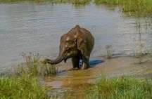 Udawalawe National Park Wildlife Safari Tours