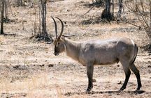 2 Day Kruger Safari from Johannesburg – Budget Fly in