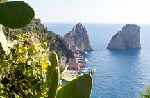 Capri Boat Tour from Naples – Small Group, Swim & Relax